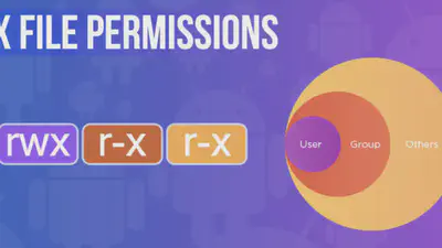 Handling Web Server file permission: The Last Guide featured image