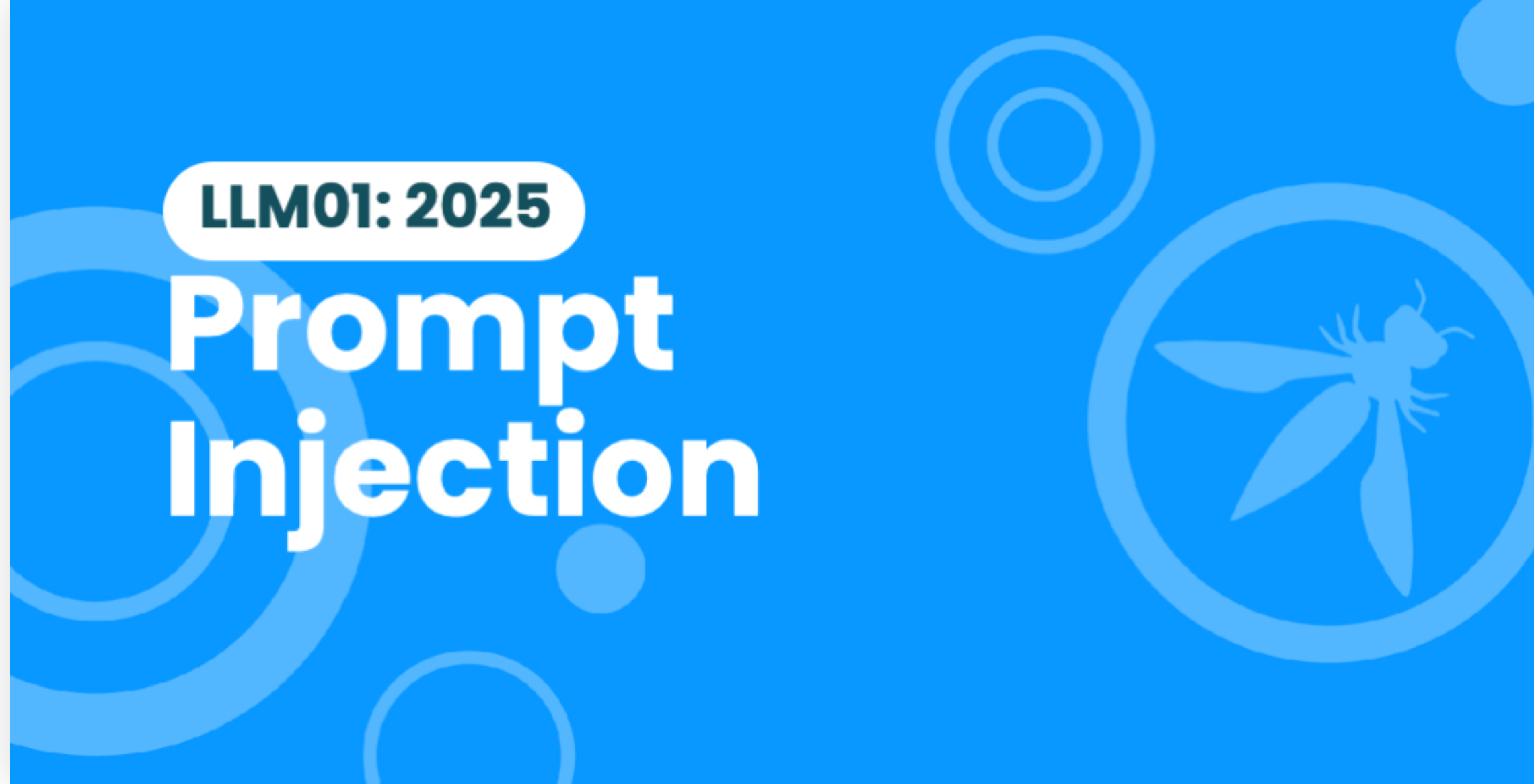 OWASP LLM01:2025 Prompt Injection